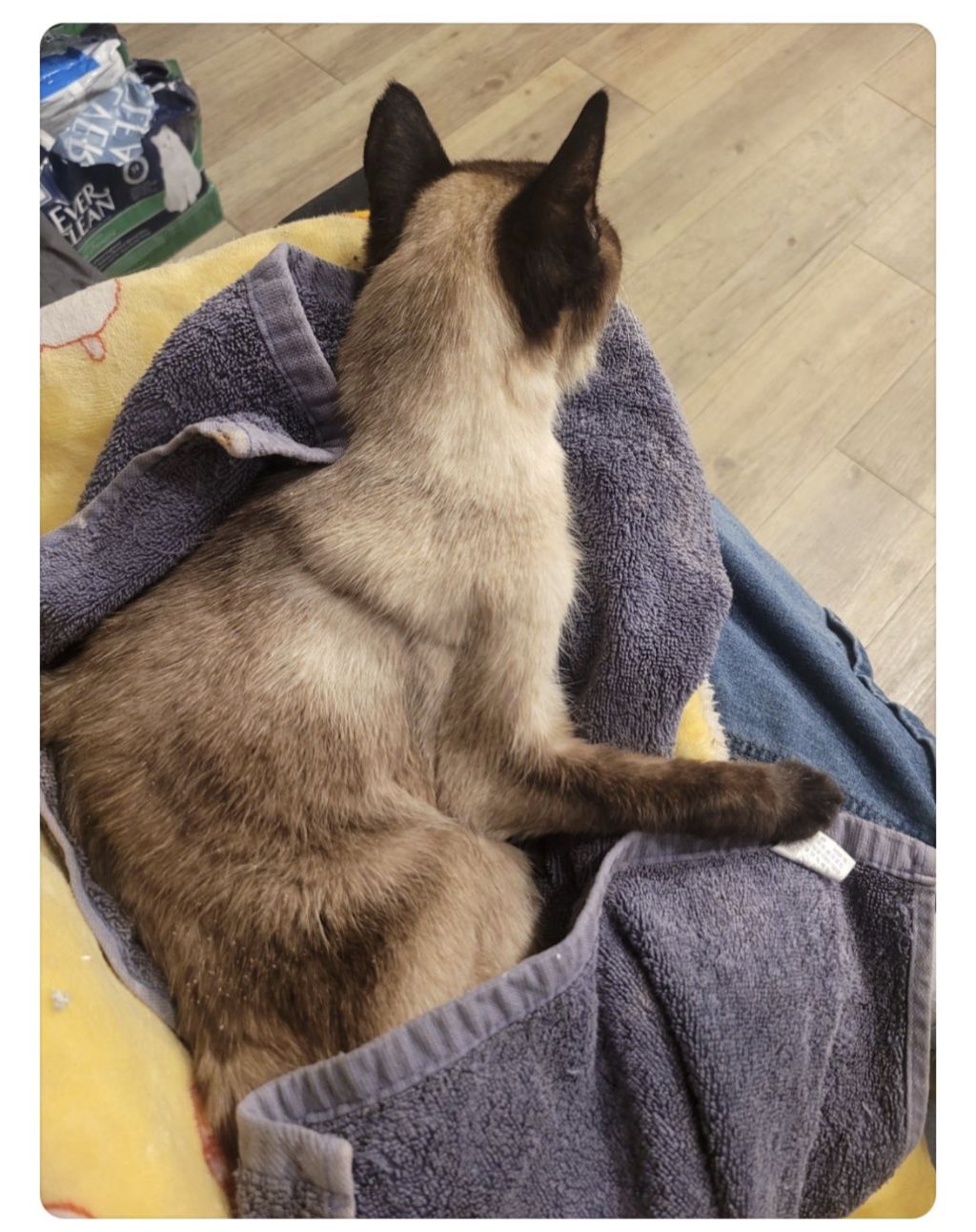 오늘자-당근글-1-이미지