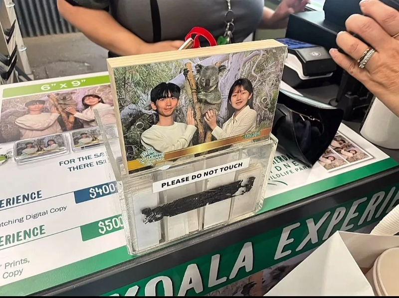 계약서에-함부로-사인했다가-호주-동물원-명물이-된-커플.jpg-25-이미지