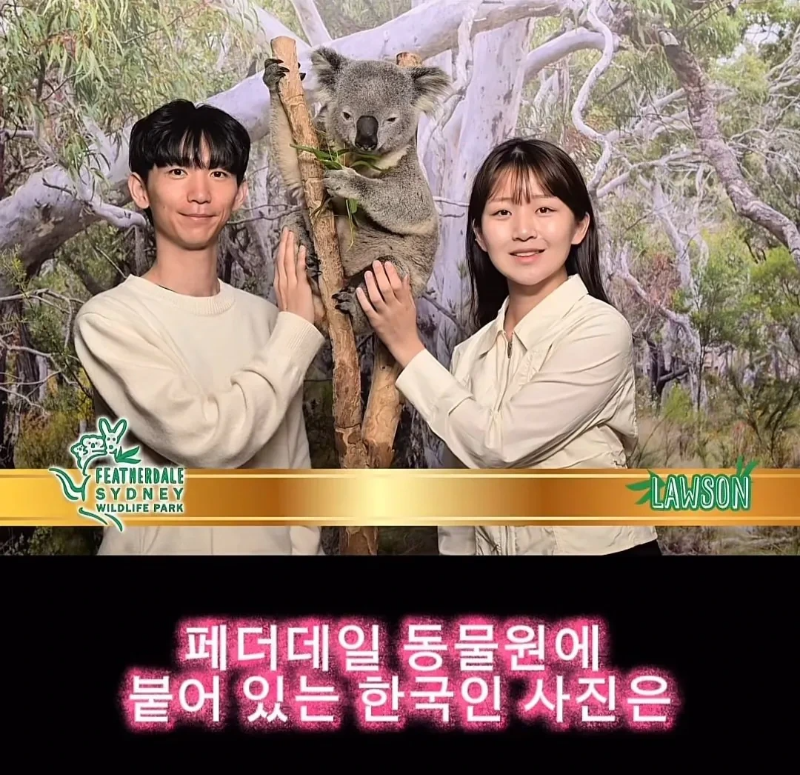 계약서에-함부로-사인했다가-호주-동물원-명물이-된-커플.jpg-42-이미지