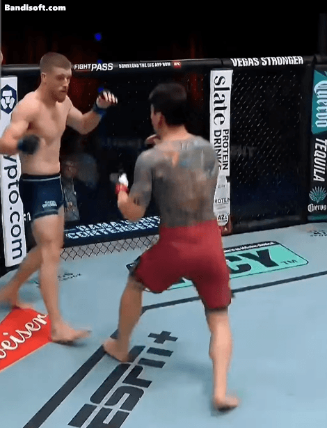 황인수-파이터-인생-중-가장-아쉬웠던-순간.gif-0-이미지