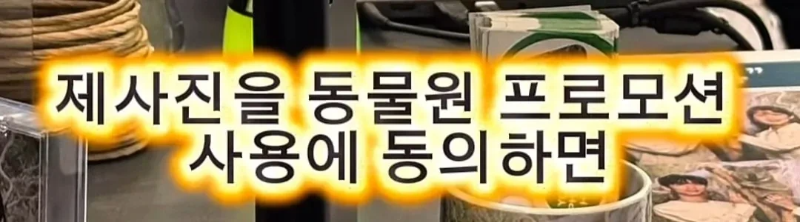 계약서에-함부로-사인했다가-호주-동물원-명물이-된-커플.jpg-14-이미지