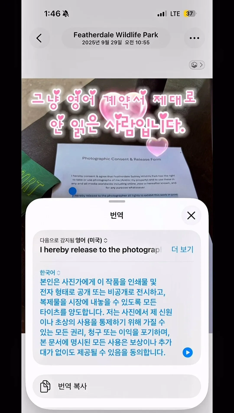 계약서에-함부로-사인했다가-호주-동물원-명물이-된-커플.jpg-43-이미지