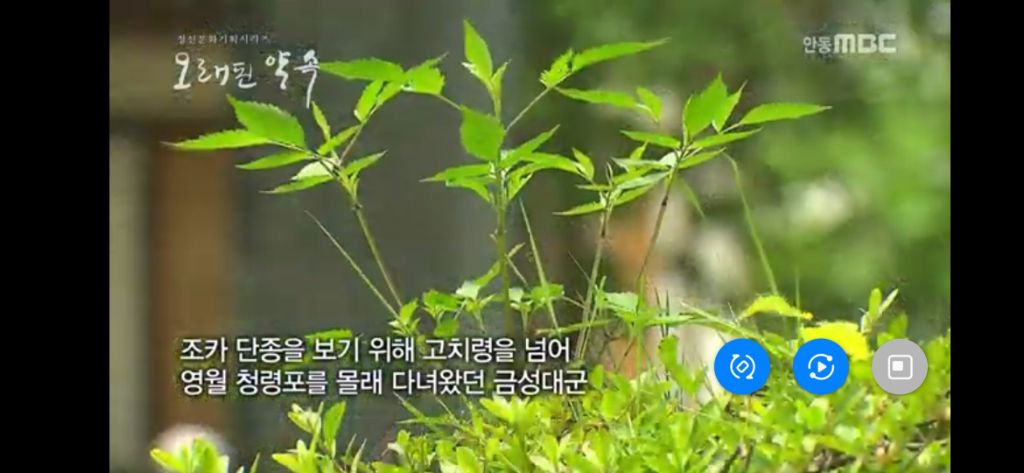 사약을-내리기-전-금성대군을-가시울타리-친-마른-우물-속에-가뒀던-세조-2-이미지