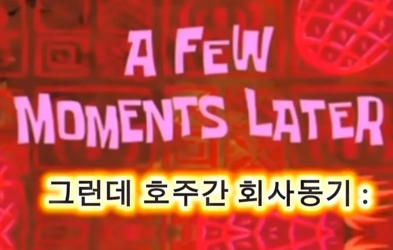 계약서에-함부로-사인했다가-호주-동물원-명물이-된-커플.jpg-22-이미지