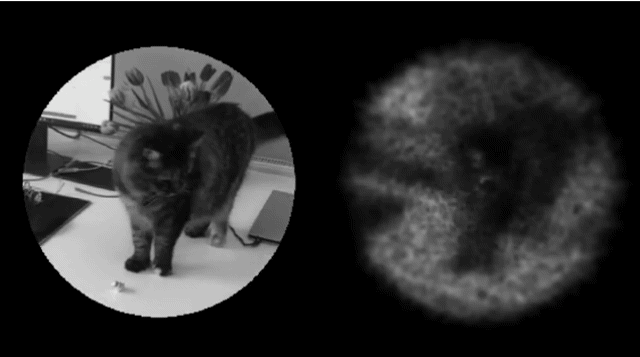 일론-머스크,-원샷한솔-눈-뜨게-하나?-김한솔,-“무섭지만-뇌에-칩-심겠다”-임상-신청-4-이미지