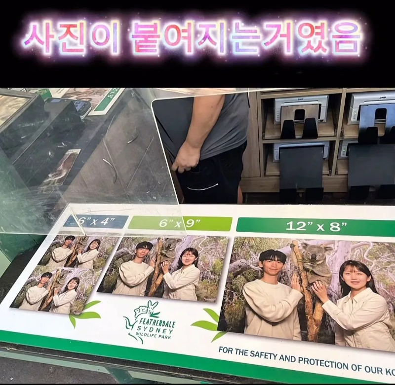 계약서에-함부로-사인했다가-호주-동물원-명물이-된-커플.jpg-27-이미지