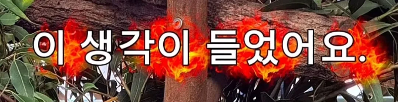 계약서에-함부로-사인했다가-호주-동물원-명물이-된-커플.jpg-9-이미지