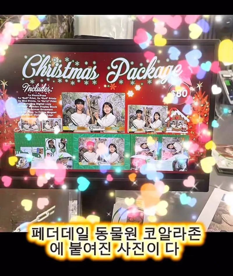 계약서에-함부로-사인했다가-호주-동물원-명물이-된-커플.jpg-1-이미지