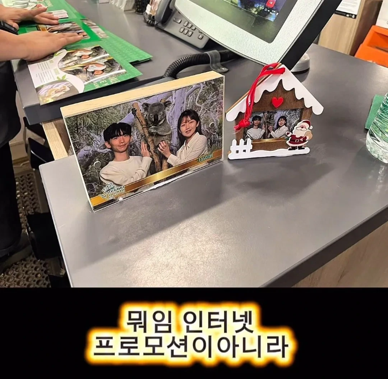 계약서에-함부로-사인했다가-호주-동물원-명물이-된-커플.jpg-24-이미지