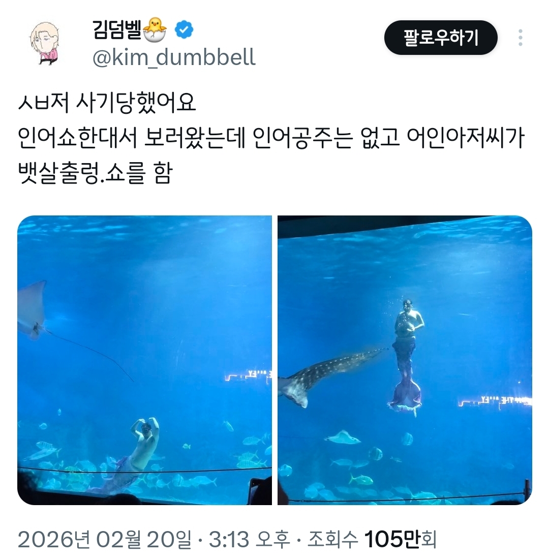 인어쇼한대서-보러왔는데-인어공주는-없고.twt-0-이미지