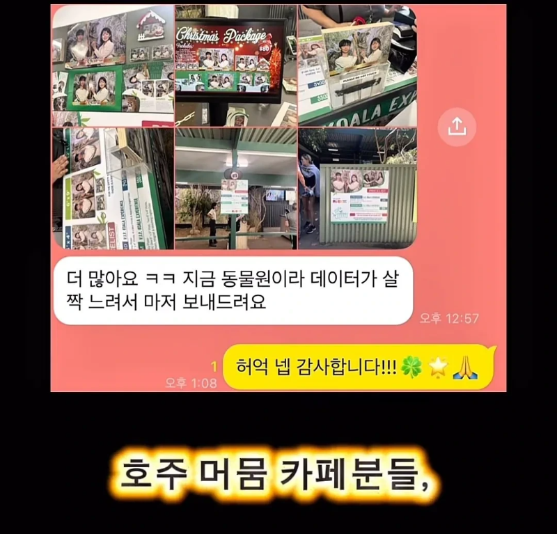 계약서에-함부로-사인했다가-호주-동물원-명물이-된-커플.jpg-35-이미지