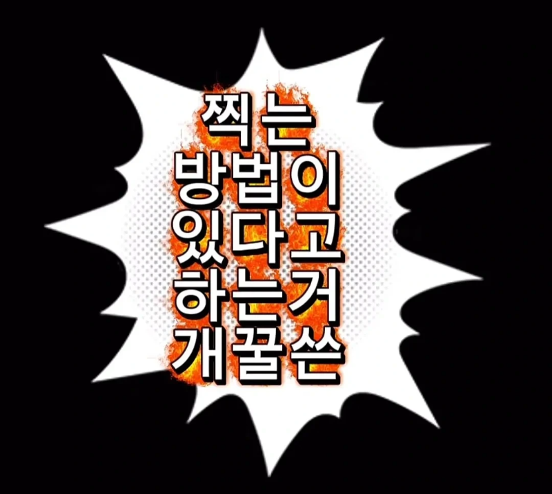 계약서에-함부로-사인했다가-호주-동물원-명물이-된-커플.jpg-13-이미지