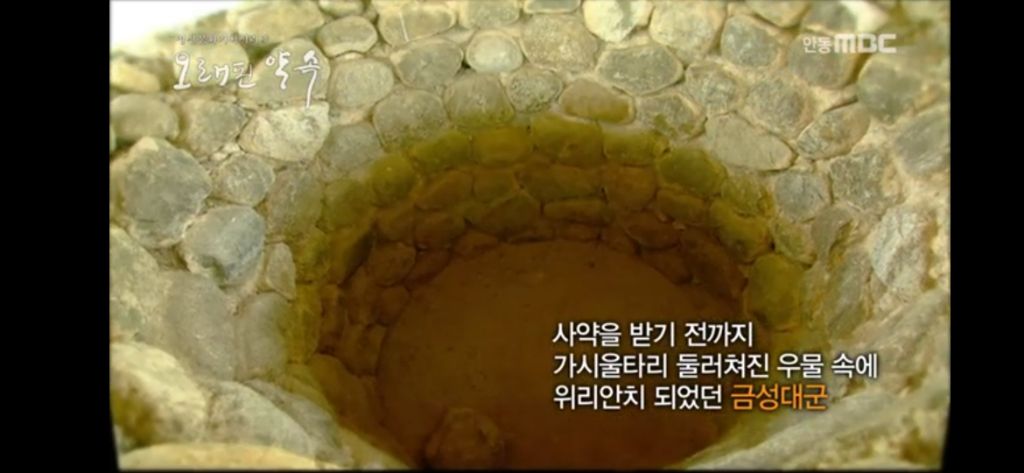 사약을-내리기-전-금성대군을-가시울타리-친-마른-우물-속에-가뒀던-세조-3-이미지