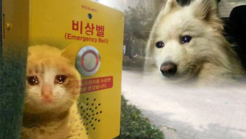 infp와-intp의-차이-1-이미지