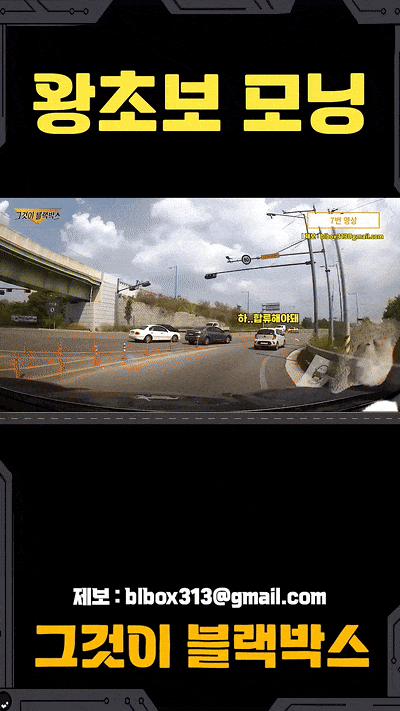 왕초보-모닝-0-이미지