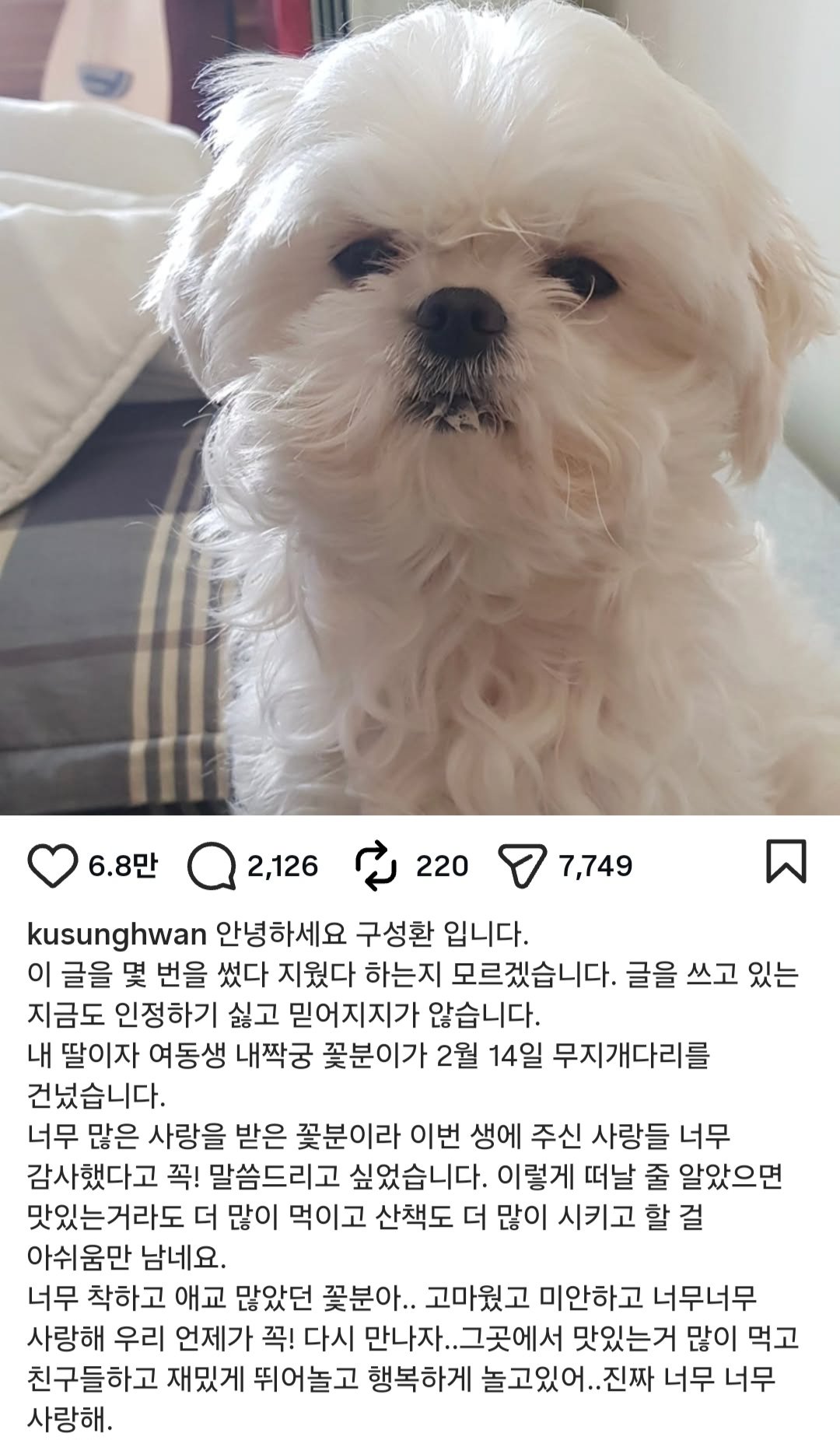 나혼자산다-구성환-강아지-꽃분이-근황..jpg-0-이미지