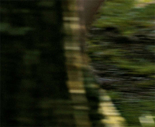 남친-지인-집에-놀러갔는데-지인이-날-강간하려-하길래-죽여버렸는데-남친-반응이...gif-17-이미지