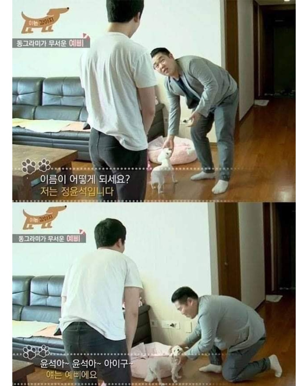 어떻게-사람이름이-밍궁둥-2-이미지