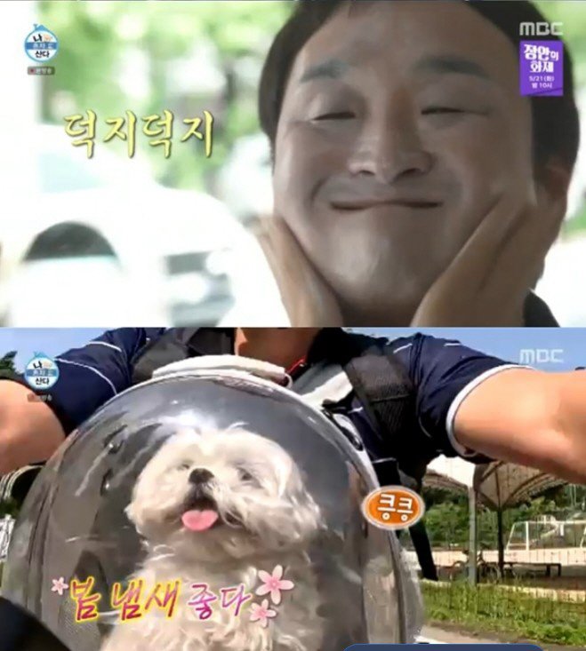 나혼자산다-구성환-강아지-꽃분이-근황..jpg-1-이미지