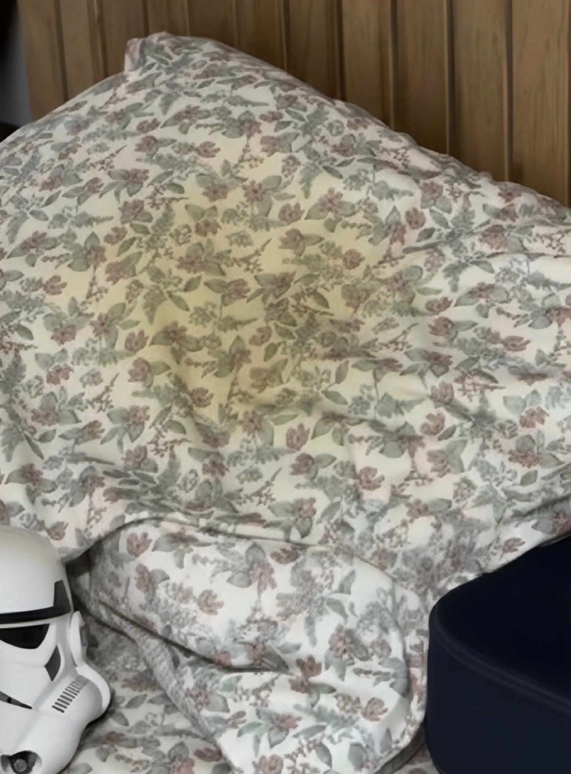 아내의-베개와-남편의-베개-1-이미지