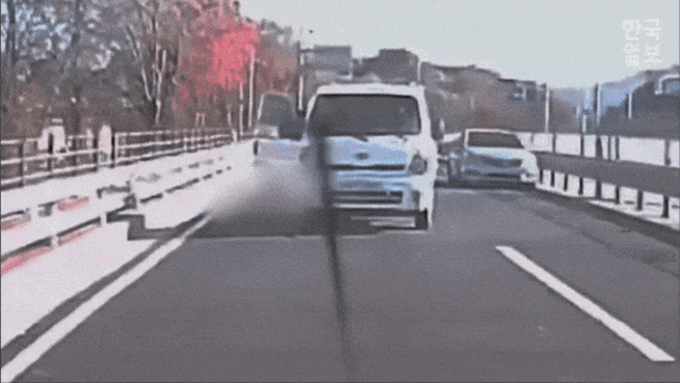 2달-전-마라톤-경기중-1톤-트럭에-치여-사망한-사건의-영상이-공개됨-1-이미지