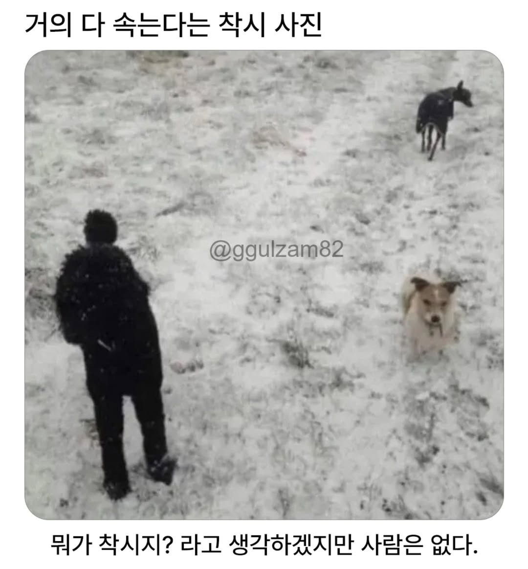 거의-다-속는다는-착시-사진-0-이미지