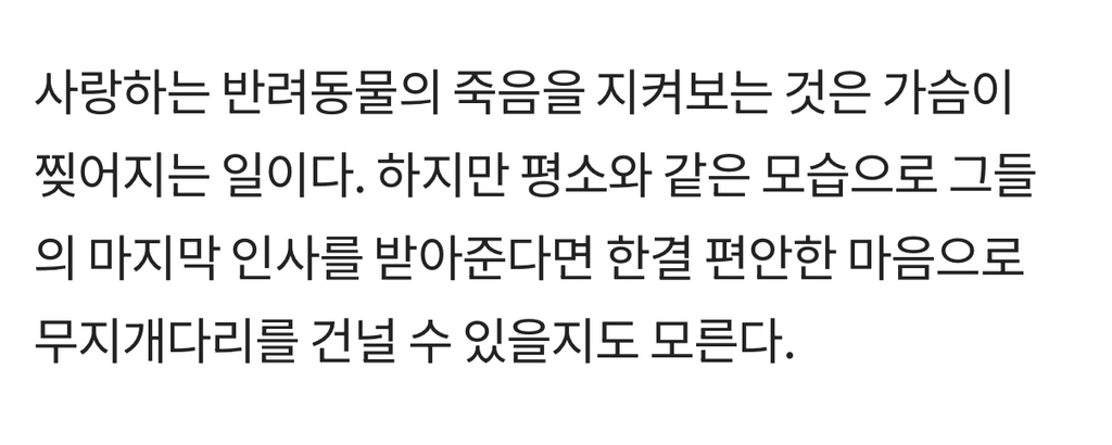 '무지개다리'-직감한-반려동물은-'마지막-인사'하려-주인-찾는다-6-이미지