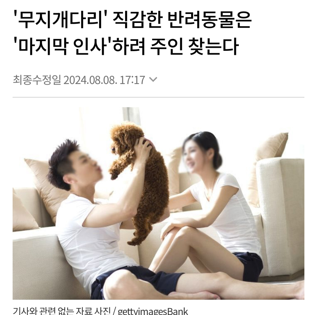 '무지개다리'-직감한-반려동물은-'마지막-인사'하려-주인-찾는다-0-이미지