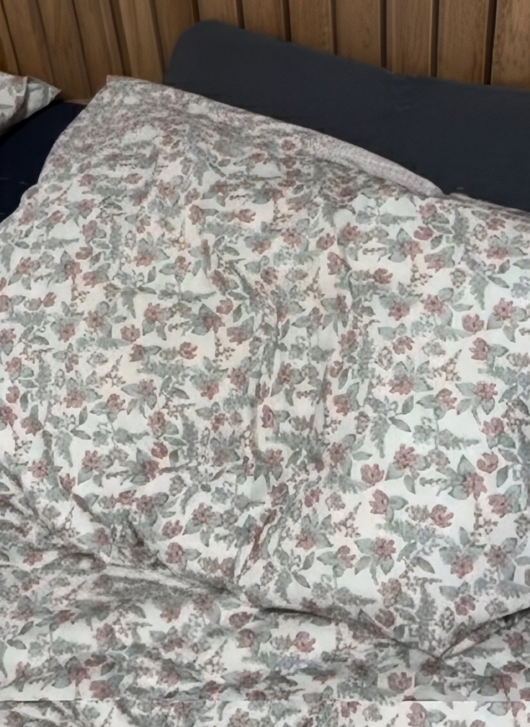 아내의-베개와-남편의-베개-0-이미지