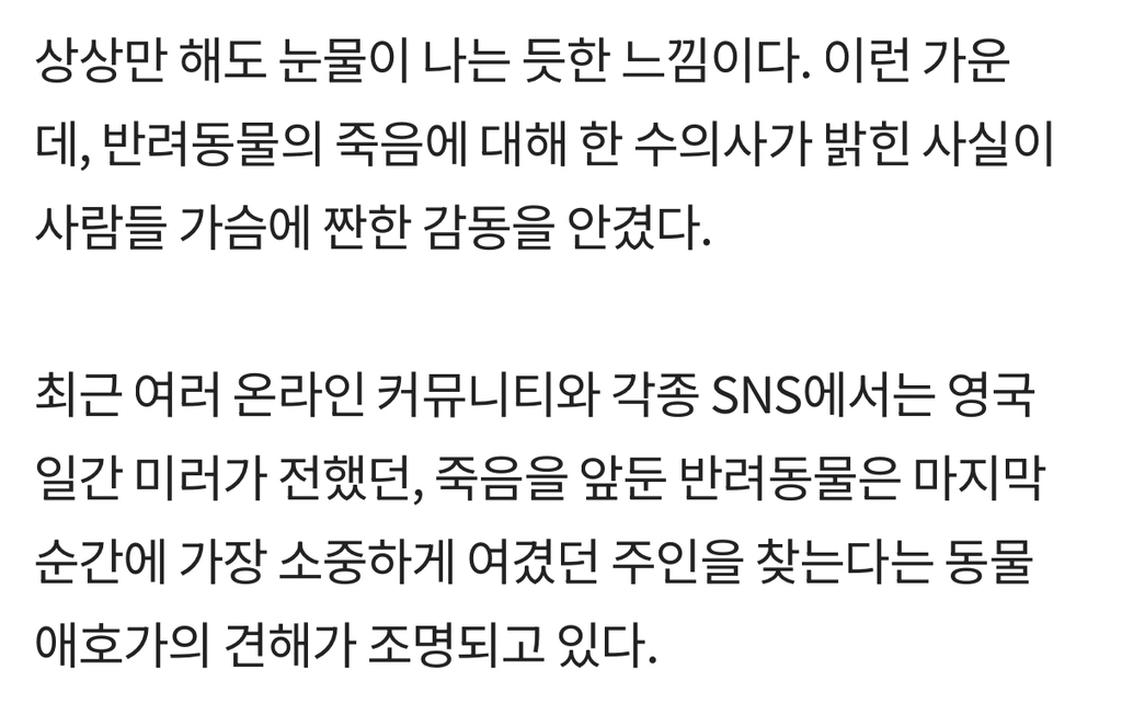 '무지개다리'-직감한-반려동물은-'마지막-인사'하려-주인-찾는다-2-이미지