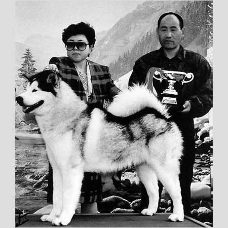 일본의-한-연쇄-살인마가-신이-있다고-생각한-이유-(무서움주의)-2-이미지