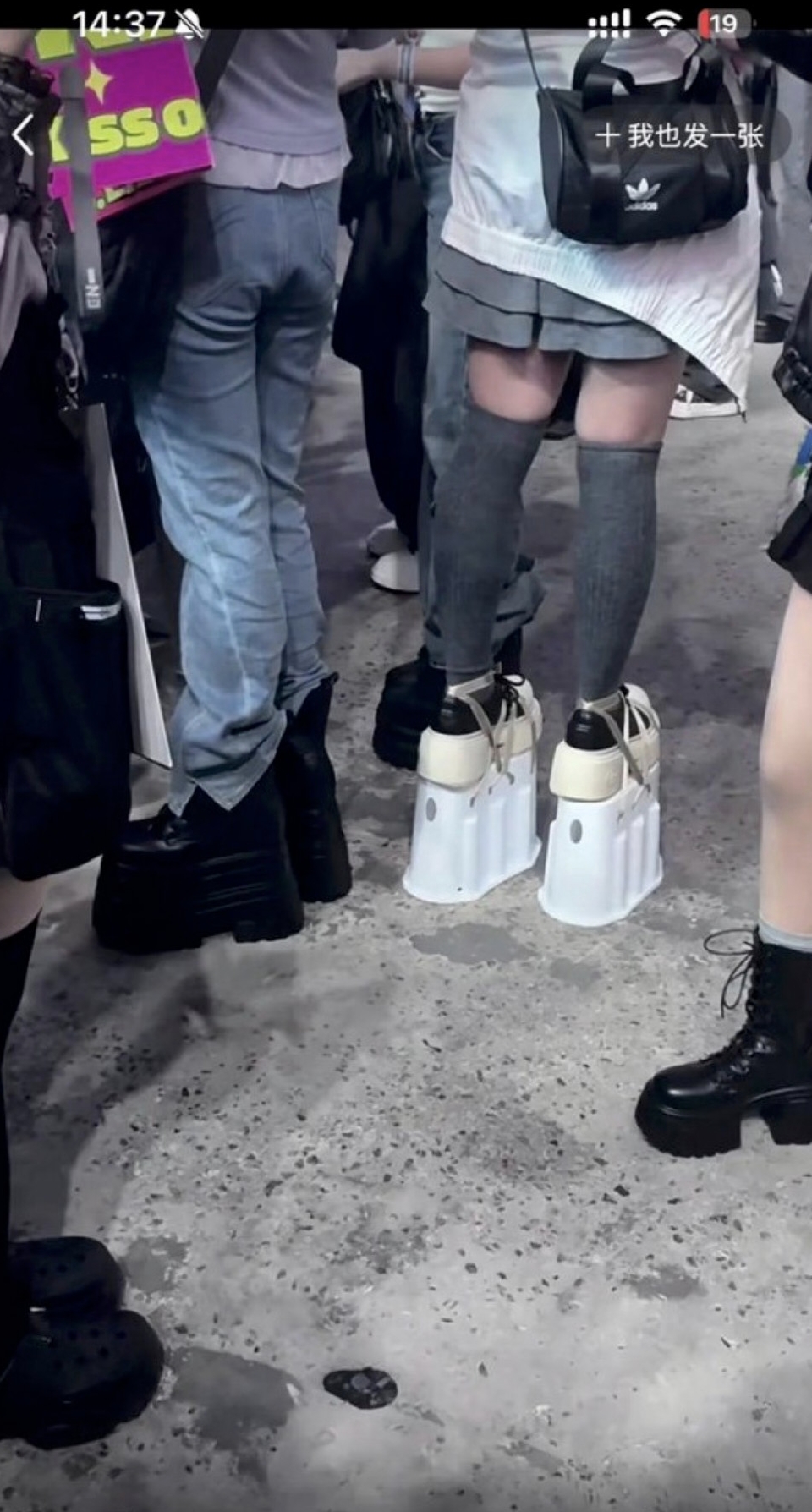 요즘-콘서트-스탠딩화-수준-3-이미지