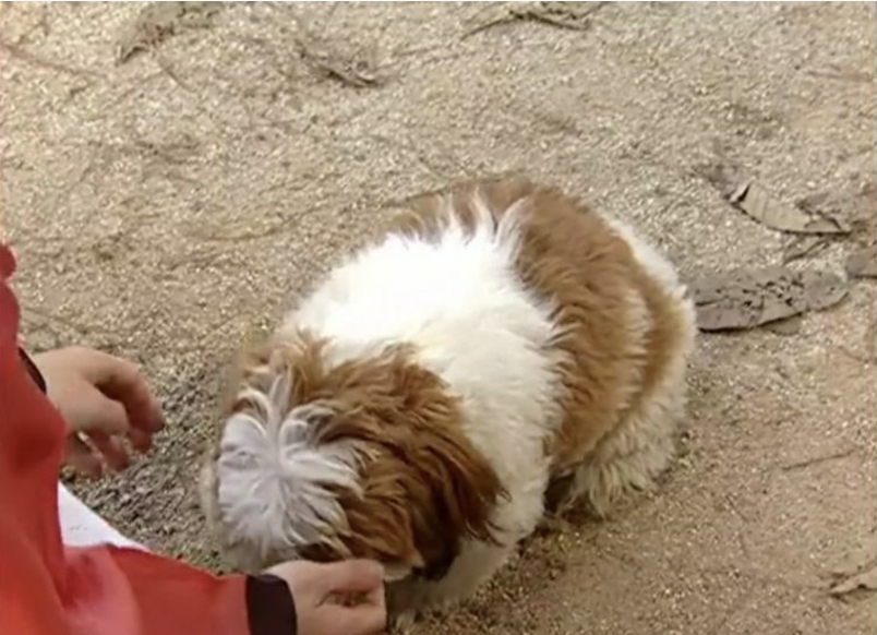 의외로-조선시대에도-있었던-것.jpg-1-이미지