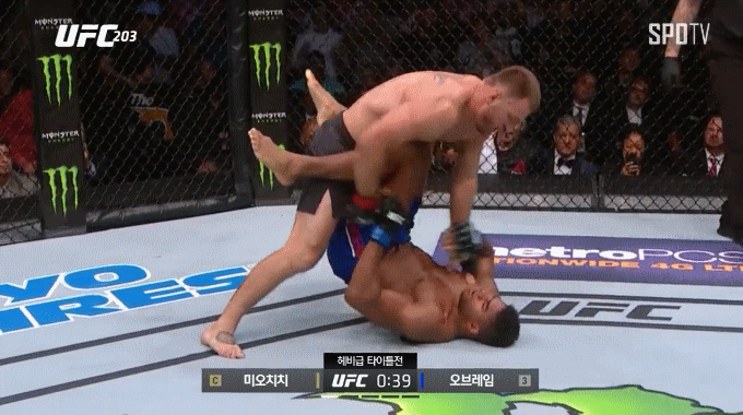 잠깐-동안-인류-최강이었던-것-같은-파이터-10-이미지