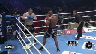 잠깐-동안-인류-최강이었던-것-같은-파이터-7-이미지