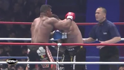 잠깐-동안-인류-최강이었던-것-같은-파이터-9-이미지