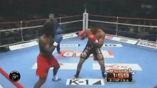 잠깐-동안-인류-최강이었던-것-같은-파이터-6-이미지