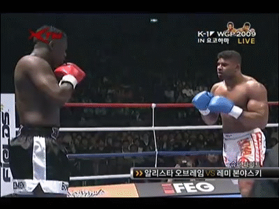 잠깐-동안-인류-최강이었던-것-같은-파이터-14-이미지