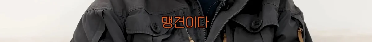 강형욱에게-문의가-가장-많이-온다는-사나운-견종-6-이미지