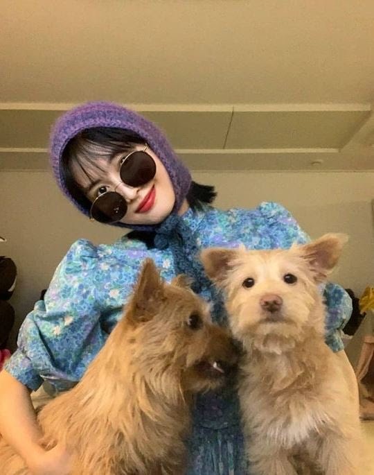 유기견,-유기묘를-입양한-연예인들-15-이미지