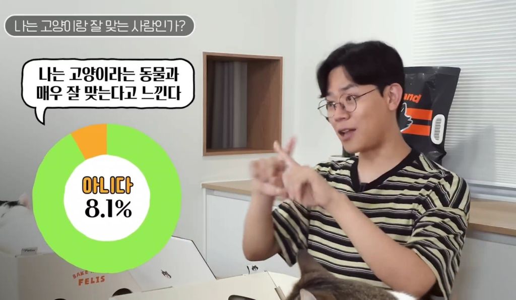 고양이를-키우며-포기한-것,-힘들었던-것-(feat.-mbti)-14-이미지
