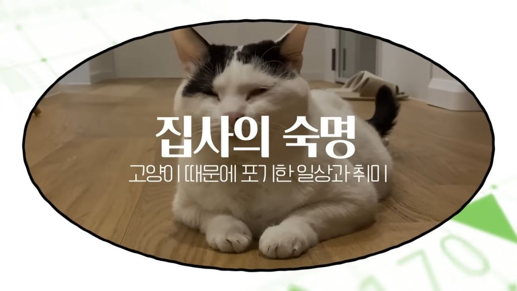 고양이를-키우며-포기한-것,-힘들었던-것-(feat.-mbti)-0-이미지