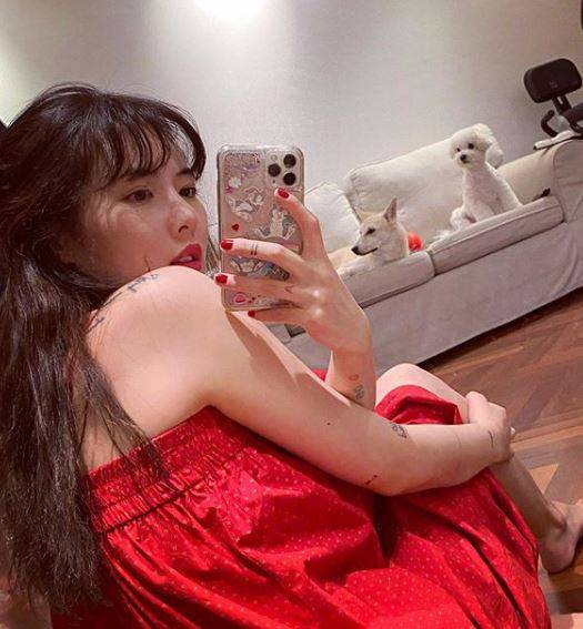 유기견,-유기묘를-입양한-연예인들-9-이미지