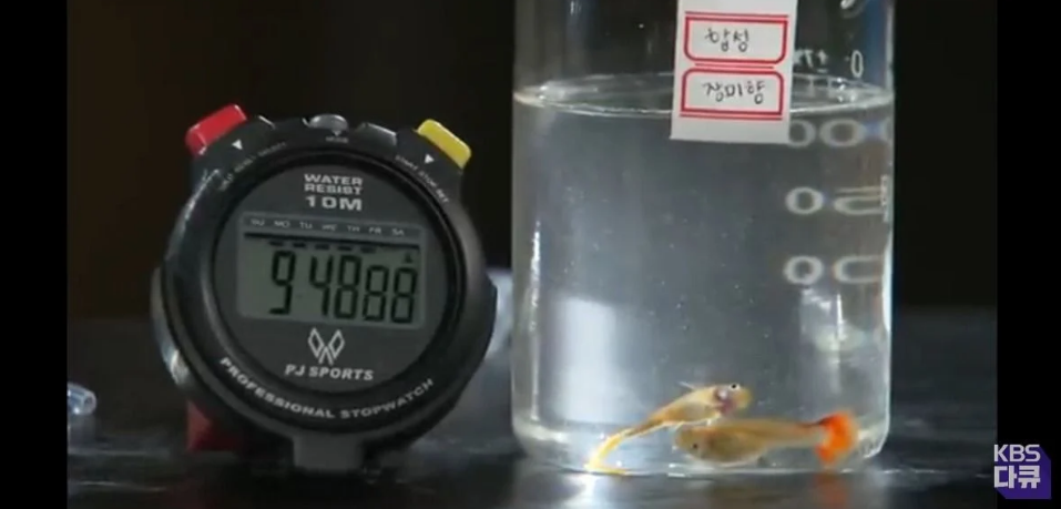 천연향료보다-엄청-싼-인공향료와-향료가-주는-위험성-10-이미지