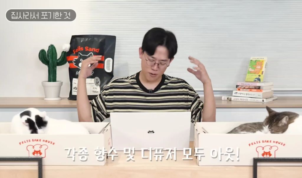 고양이를-키우며-포기한-것,-힘들었던-것-(feat.-mbti)-6-이미지