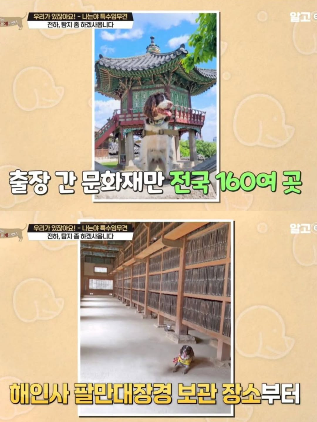 강아지-출입금지인-경복궁에-강아지-데려갔다고-10-이미지