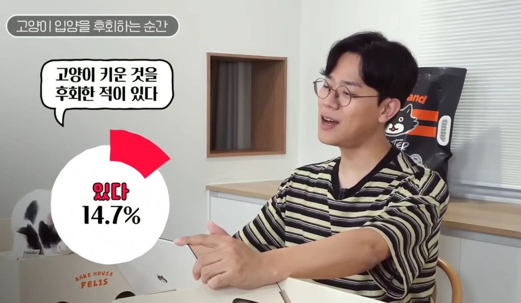 고양이를-키우며-포기한-것,-힘들었던-것-(feat.-mbti)-24-이미지