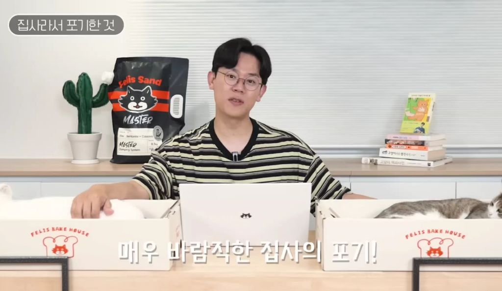 고양이를-키우며-포기한-것,-힘들었던-것-(feat.-mbti)-12-이미지