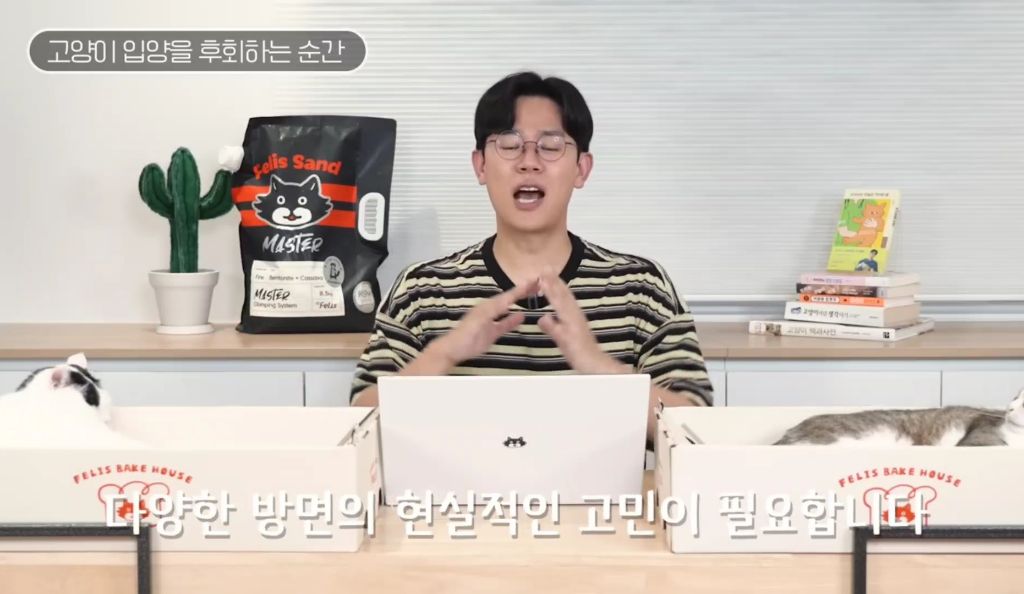 고양이를-키우며-포기한-것,-힘들었던-것-(feat.-mbti)-35-이미지