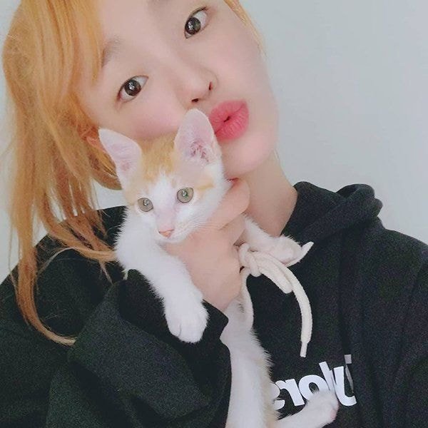 유기견,-유기묘를-입양한-연예인들-32-이미지